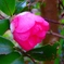 2015-11-08 15.37.46