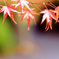 雫