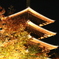 金色の五重の塔