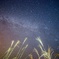 秋の夜長に3