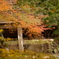 境内の紅葉