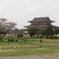 完成した平城京大極殿