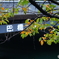 深川・門前仲町2