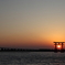 鳥居に沈む夕日