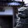 リアルこまさん
