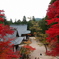 神護寺～毘沙門堂・五大堂