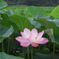 DSCN1145