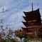 五重塔 in 宮島