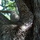 DSCF0051