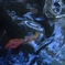 in the Crystal Water