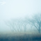 The world of the story of fog