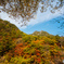 昇仙峡の紅葉
