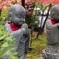 永観堂のお地蔵さん