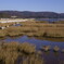 _DSC0943