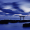 蒼海