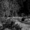 ｂｗ １