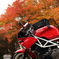 紅葉とバイク1