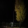 深夜の公衆電話。