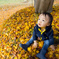 紅葉の絨毯