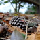 DSCF0083