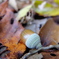 DSCF0086