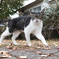 DSCF0096