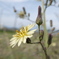 DSCF0278