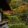 紅葉　＠銀閣寺　東求堂