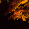 ikaho