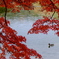 南湖公園