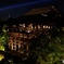 夏の夜の清水寺