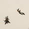エアフェスタ浜松2105 F-15パカーン