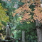 永平寺にて