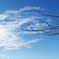 多摩川