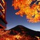 紅葉ライトアップ