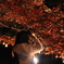 紅葉を撮す