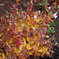 DSCN1276