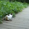 何がみえるの