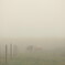 The world where is filled with the fog　６