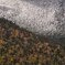IMGP0137