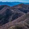 日光の半月山に富士山を見ました