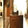 garbage cat