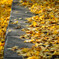 yellow load