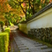 善峯寺・阿弥陀堂参道１