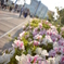 横浜に咲くお花