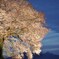 孤高の桜