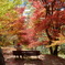 DSCF0464