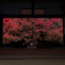 安国寺2015-5