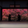 安国寺2015-6