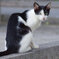猫背だけど、なにか(^O^)